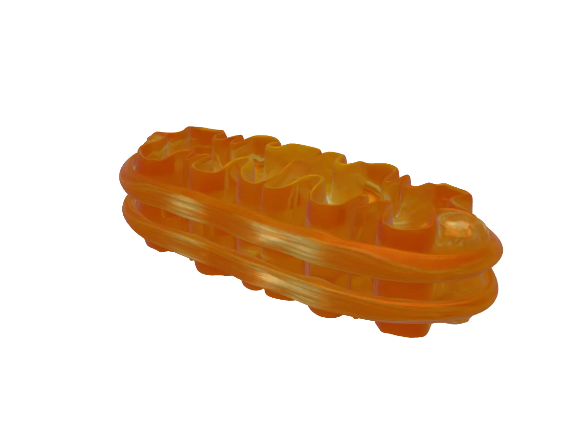 AcademicAR demo — Mitochondria 3D model